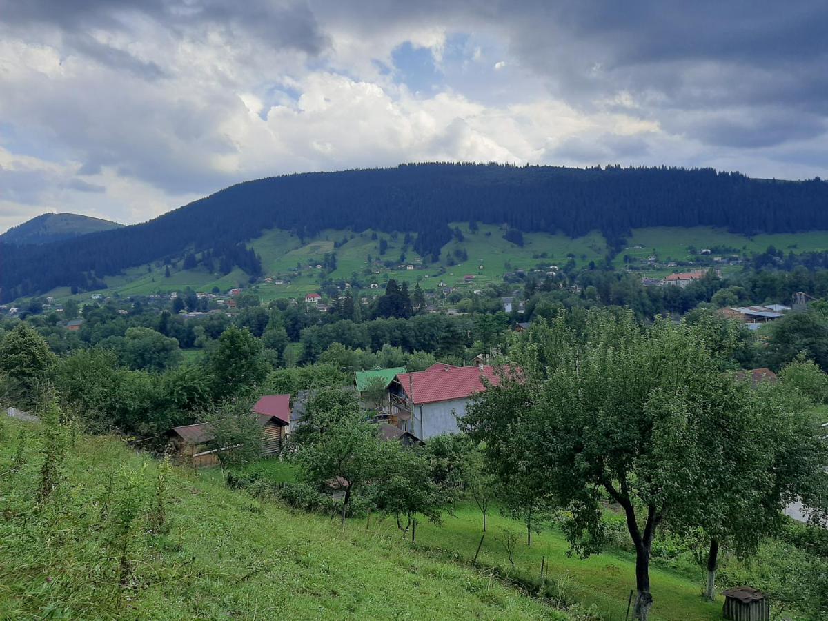 Pid Lisochkom Verkhovyna Exterior foto