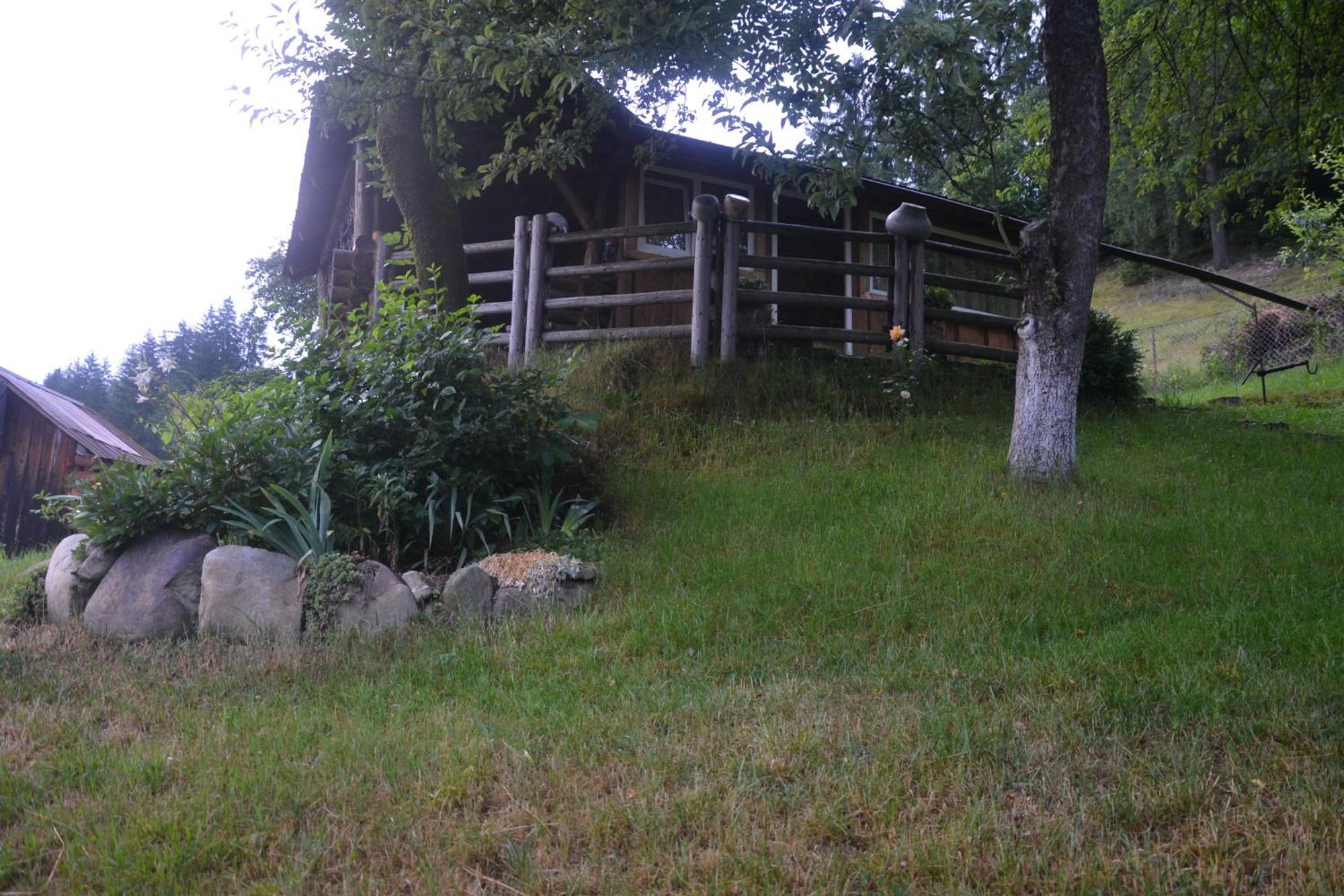 Pid Lisochkom Verkhovyna Exterior foto